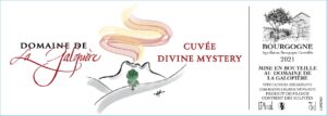 Divine Mystery 2021